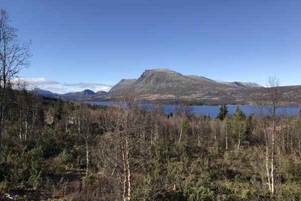 Hyttetomter i Hemsedal