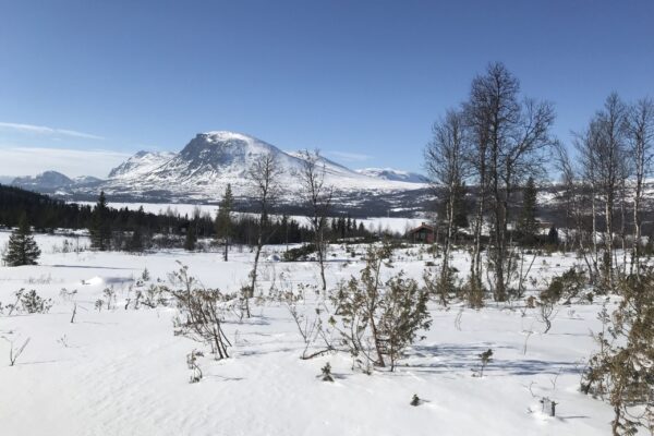 Hyttetomter i Hemsedal