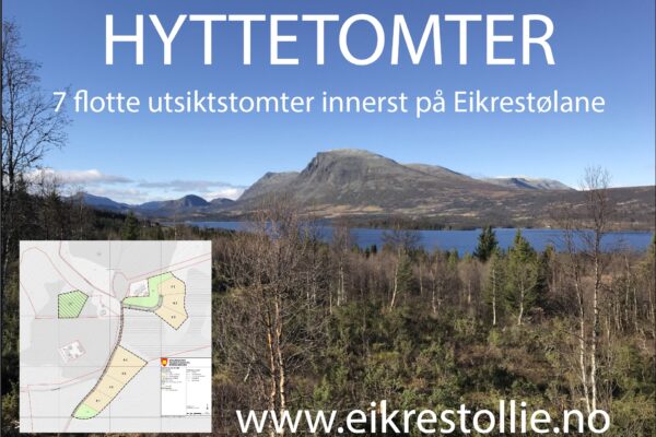 Hyttetomter i Hemsedal